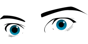 eyes-149670_640