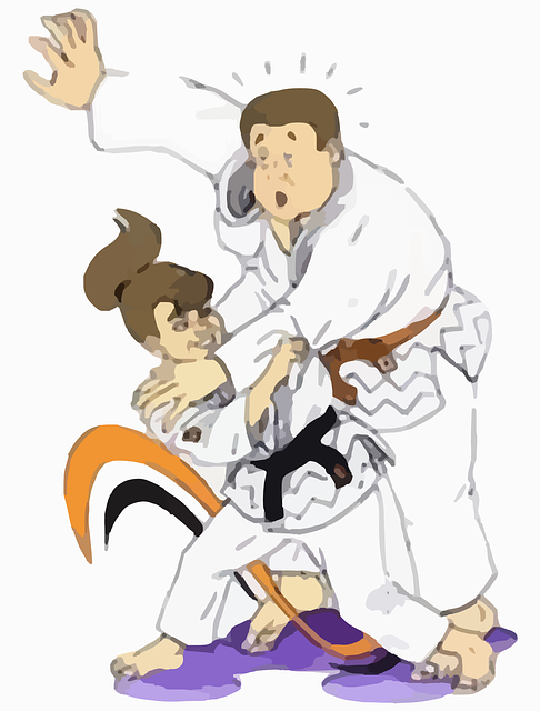 judo-295100_640