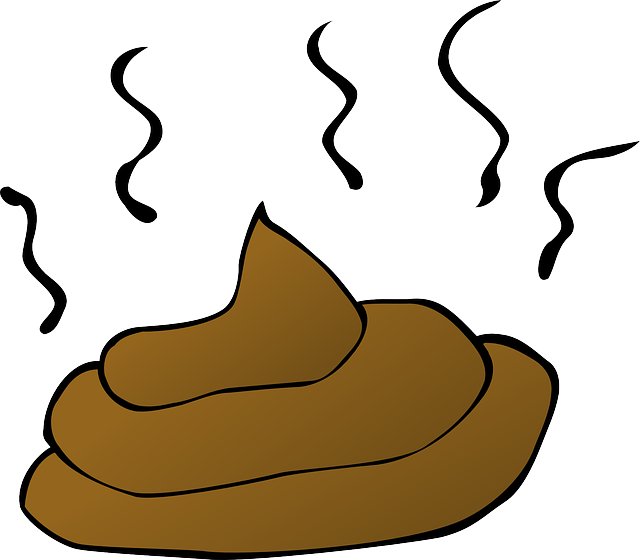 poop-34629_640