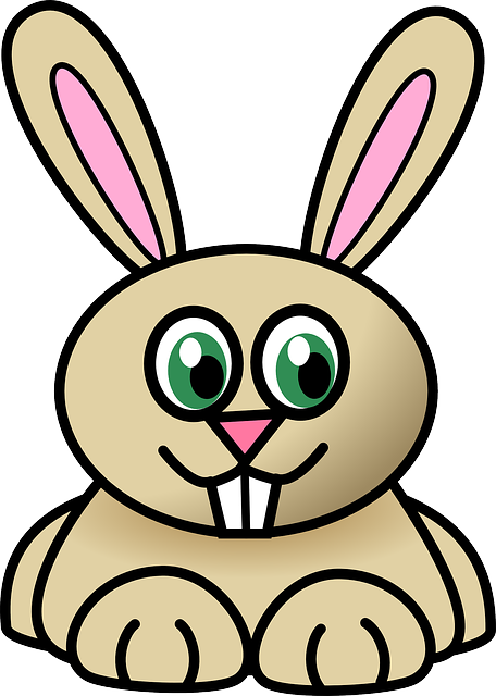 rabbit-30479_640