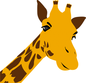 giraffe-833325_640