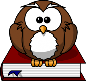 owl-47526_640