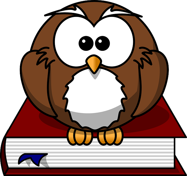 owl-47526_640