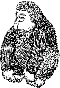 gorilla-144999_640