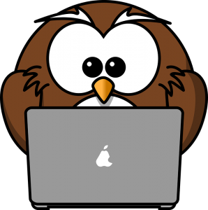 owl-158414_960_720