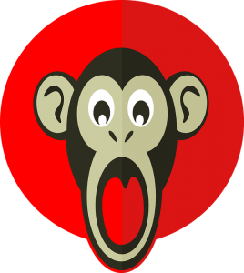 shocking-monkey-1091220_960_720
