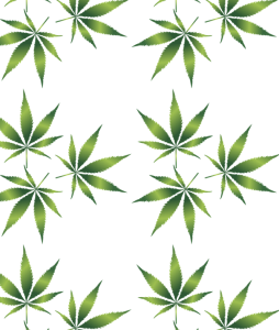 cannabis-1032131_960_720