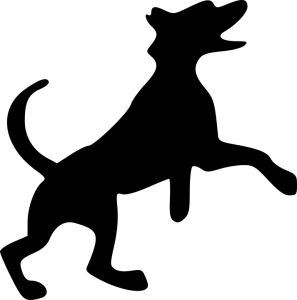 dog-294460_960_720