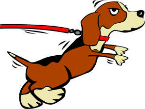dog-311830_960_720
