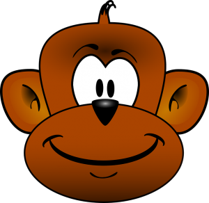 monkey-41365_960_720